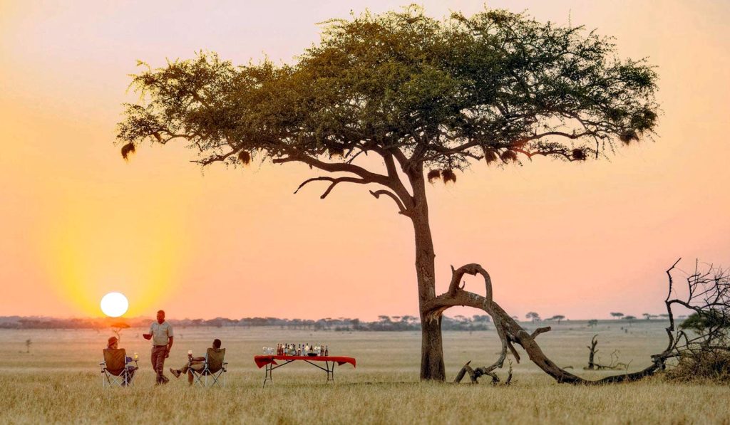 Tanzania Safari Adventure by Africa Moja Safari Adventures