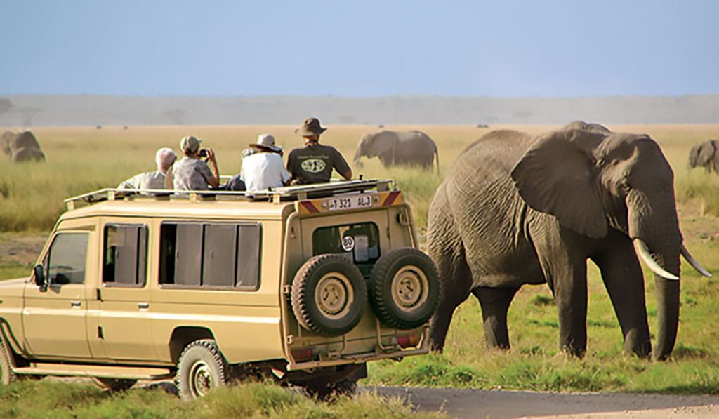 Tanzania Safari Adventure by Africa Moja Safari Adventures